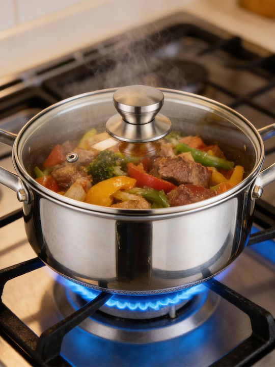 Cheffinger 28cm 8l Pot Non-stick Honeycomb Coating Lid Silver