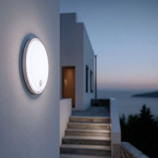 Maclean Energy Lumină de exterior montată pe perete LED IP65 10W