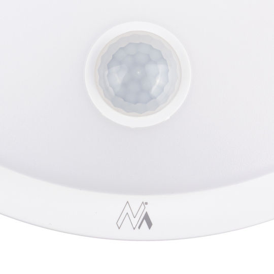 Maclean Energy Lumină de exterior montată pe perete LED IP65 10W