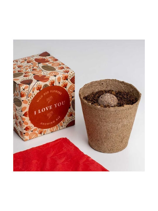 Say It Flowers I Love You Flower Growing Set 8.8 X 8.8 X 8.8 Cm