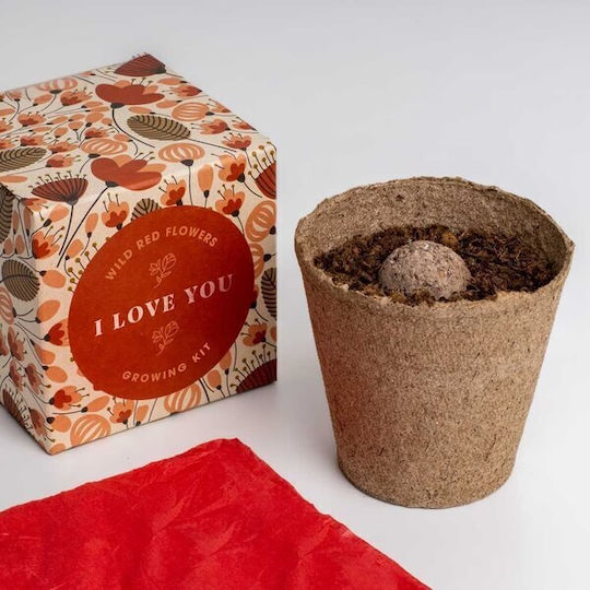 Say It Flowers I Love You Flower Growing Set 8.8 X 8.8 X 8.8 Cm
