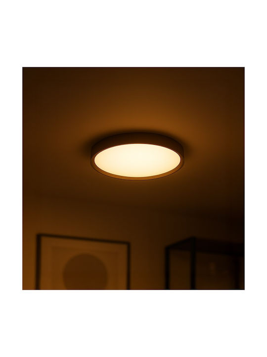 Eko Light Ceiling Mount Light 26cm with Integrated LED