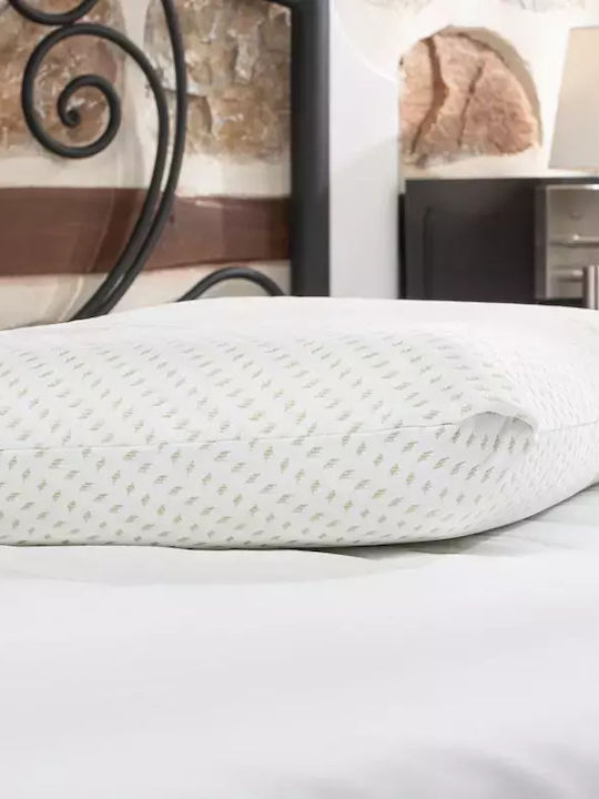 Alpha Foam Relax Aloe Vera Bed Pillow Memory Foam Anatomic 40x60x13cm