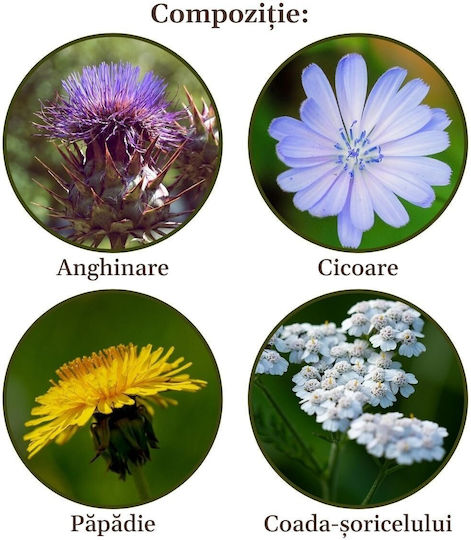 Faunus Plant Τσάι 90 Φακελάκια 90gr
