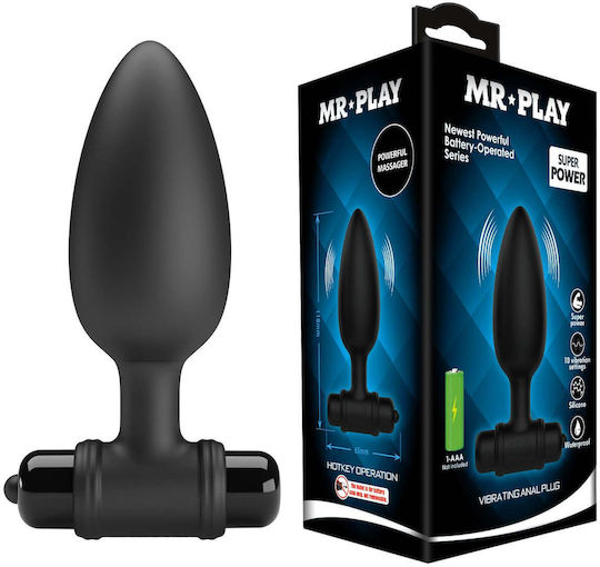 Anal Plug mit Vibration Schwarz