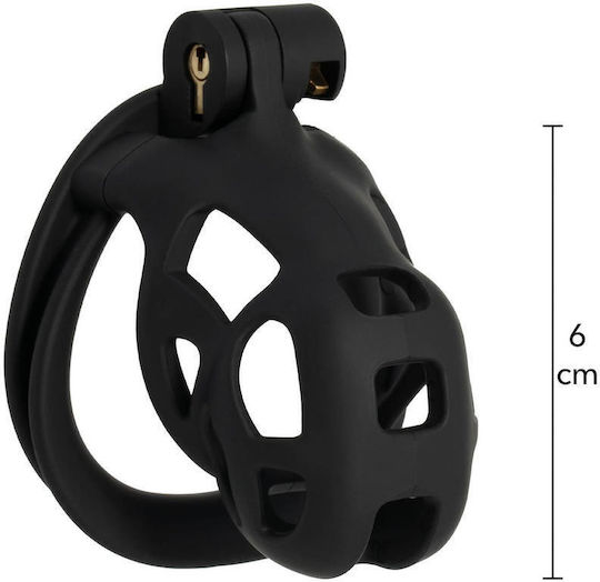 Hidden Desire Penis Cage in Black Color
