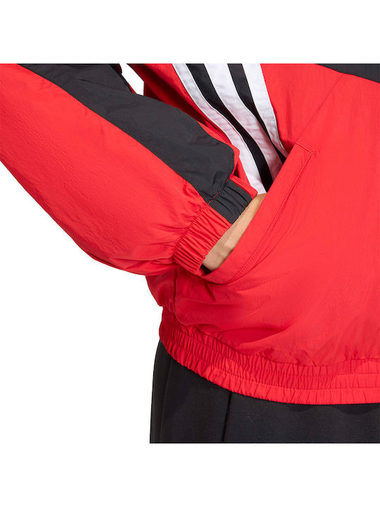 Originals Jacke Bordeaux