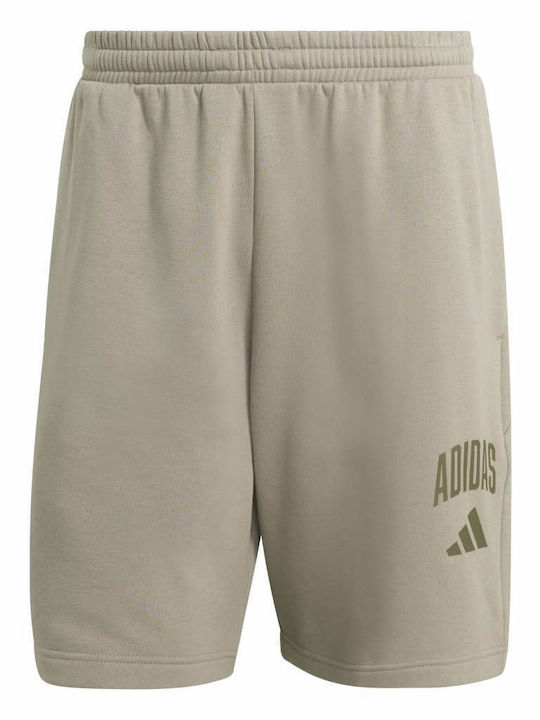 Herrenshorts Khaki