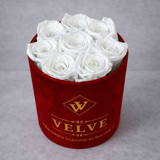 Ewige Rose Florale Anordnung Kryogenisierte Rosen In Einer Runde Box Weiße