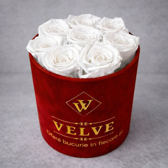 Ewige Rose Florale Anordnung Kryogenisierte Rosen In Einer Runde Box Weiße