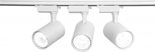 LED Warm White Spot with 10 Lights in White Color