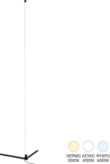 Pakketo Esthetic LED Floor Lamp H140xW45cm. Black