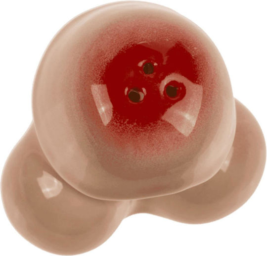 Naughty Penis Salt Shakers A Spicy Accent On Every Table
