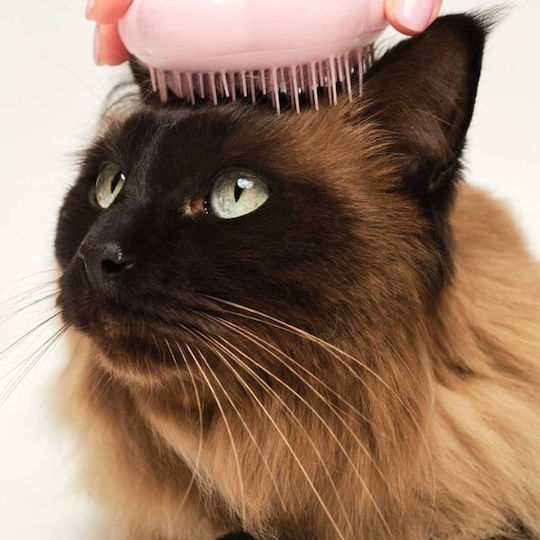 Pet Teezer Cat Grooming Brush Cat Brush 1pc