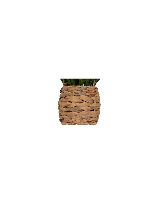 Hanging Straw Grass Planter 25 X 25 X 27 Cm