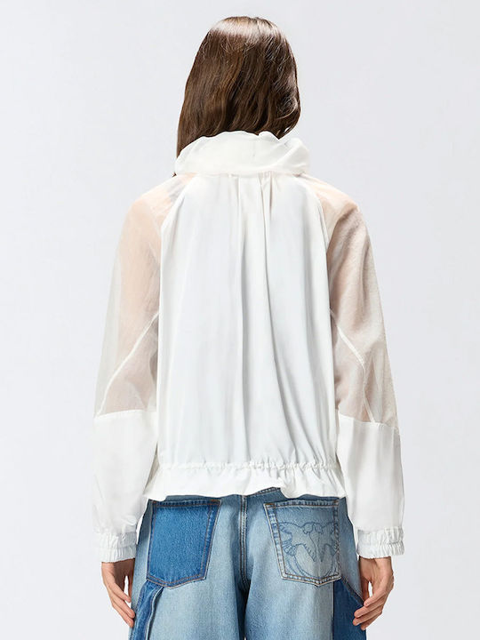 Pinko