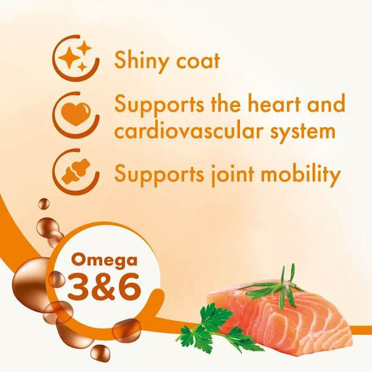 Beaphar Salmon Oil for Dogs and Cats 430ml for General Health