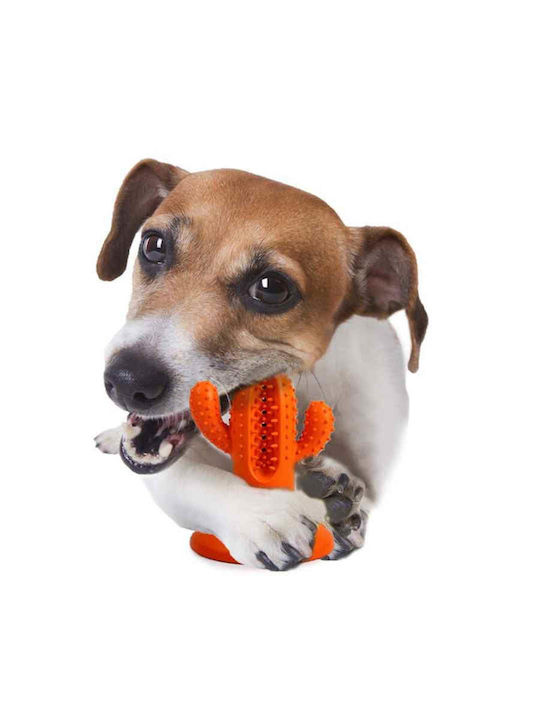 Afp Dog Toy Dental Care Dental Cactus Orange Medium 13x9.5x9.5cm Monochrome