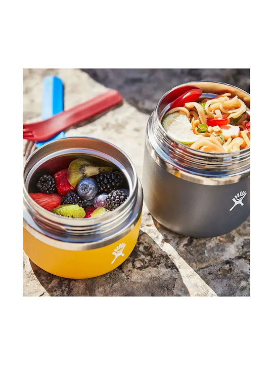 Hydro Flask Lunchbox Isolierte Lunchbox Inox Gray 355ml 1Stück