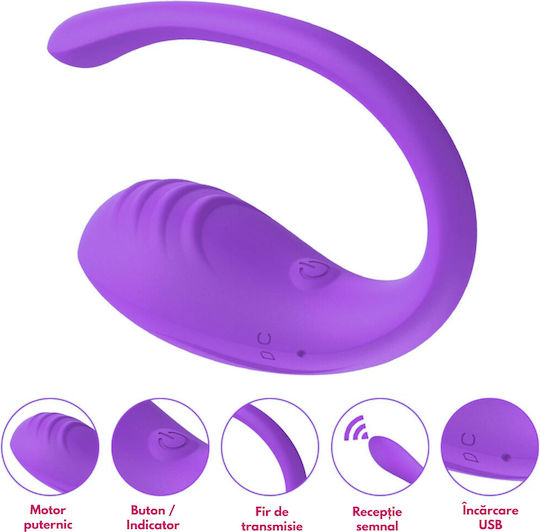 Vibrator G-Punkt mit Fernbedienung 20cm Lila