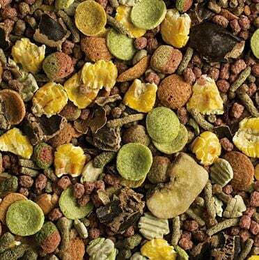 Tropical Tropifit 500g Hamster-chomik