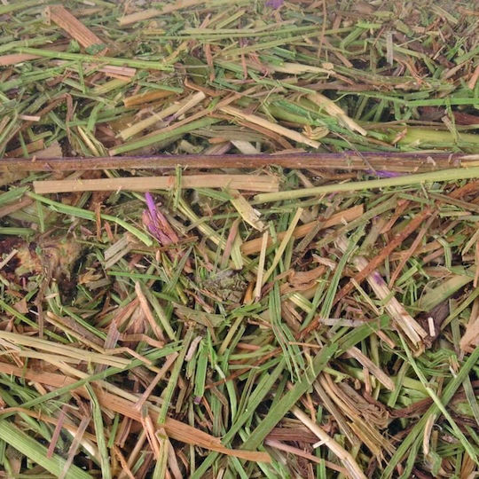 Rodent Hay Flamingo 2.5kg