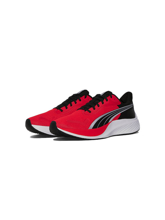 PUMA