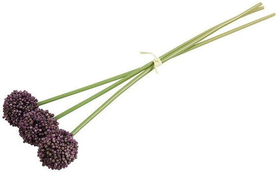 Allium Μωβ X3 55εκ