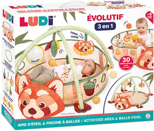 Ludi Sală de Activități pentru 0++ Luni