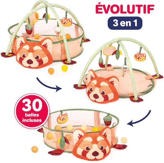 Ludi Sală de Activități pentru 0++ Luni