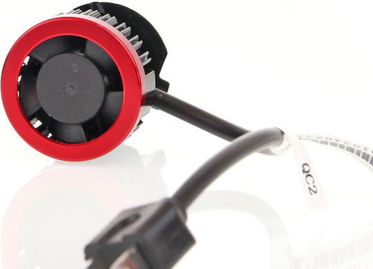 Alista Home Lămpi Autoturismului H7 Canbus LED 6000K Alb rece 12V 50W 1buc