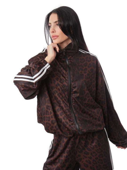Silia D Damenhosen Set mit Animal Print Streifen