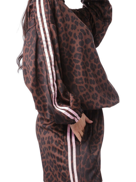 Set Palazzo Jacket Animal Print Stripes