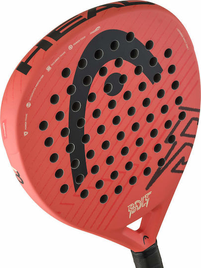Head 226206
