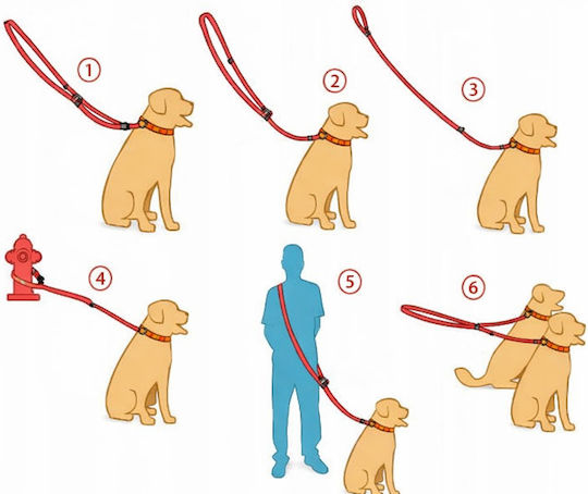 Bailu Dog Leash/Lead Strap in Purple color
