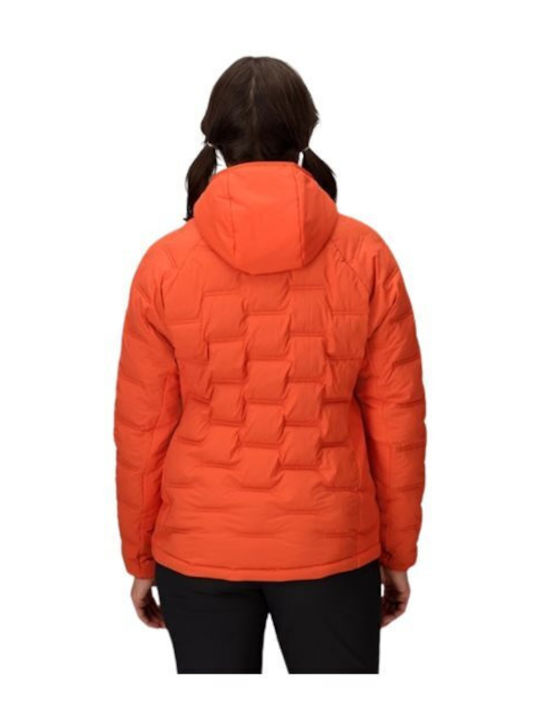 Jacket Ginger Blossom