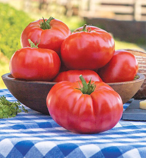 Ντομάτα Marmande Αναρριχώμενη 1 Γρ Σπόροι