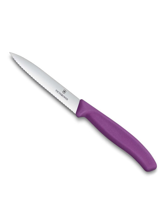 Victorinox Swiss Classic Knife General Use from Stainless Steel 10cm