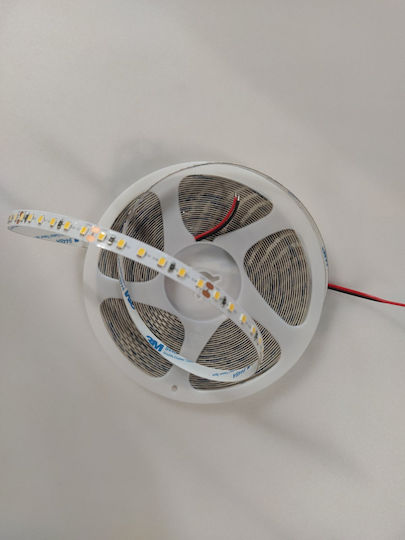 Home Lighting LED Strip 24V Natural White Light 1m