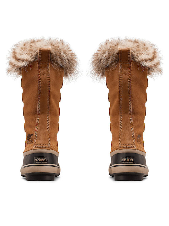Sorel