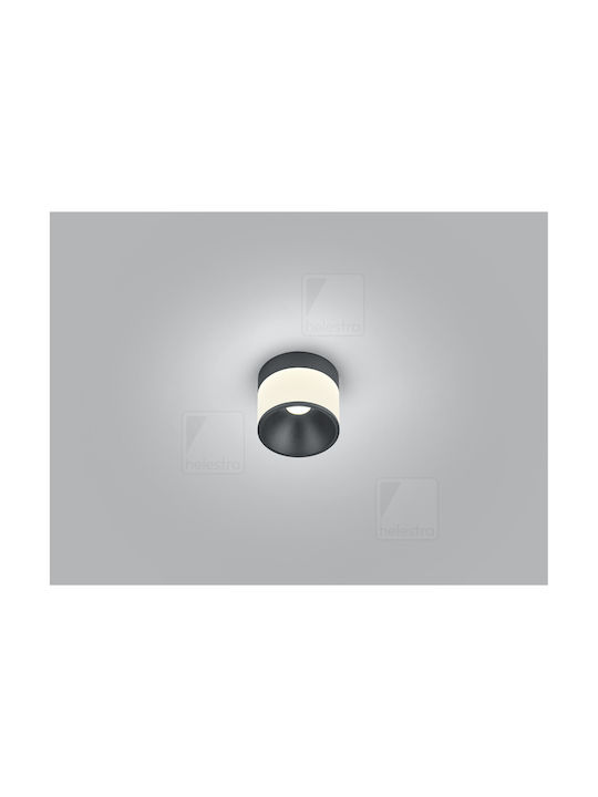 Helestra Plafonieră de Tavan 10buc Neagră cu LED Integrat