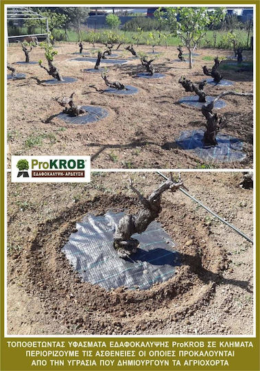 Плат За Земно Покритие Prokrob Дървета Кръгло Ф70