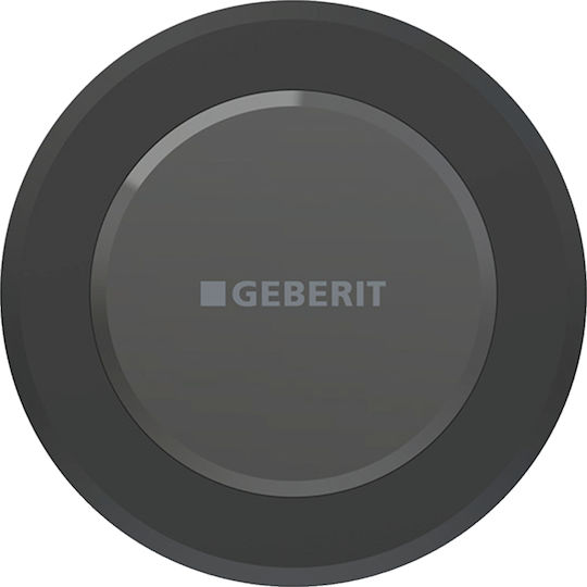 Geberit Flush Plate Dual Flush