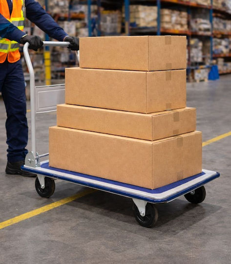 Axion Platform Trolley Foldable for Weight Load up to 300kg