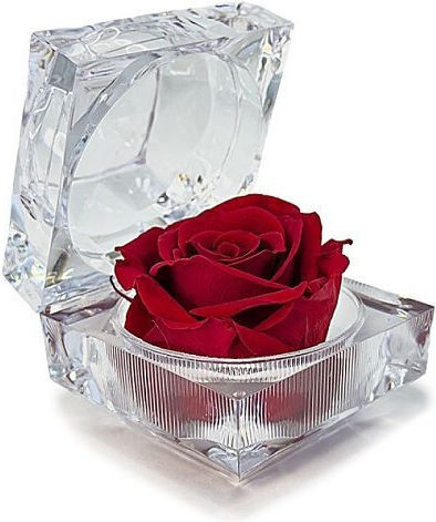 Rose Amor – Eternal Love Rose Long-lasting 100% Natural Rose