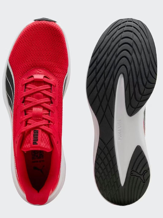 Sneakers Red