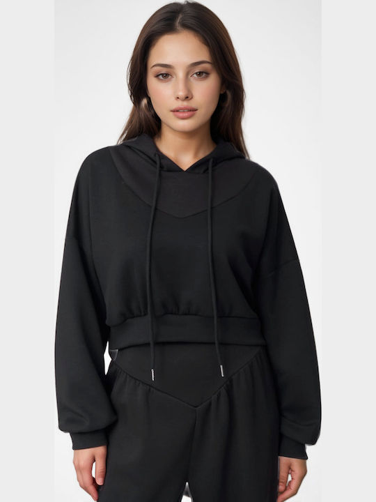 FN Fashion