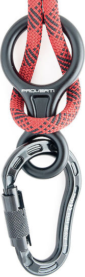 Protekt CD303 Climbing Figure Eight Black