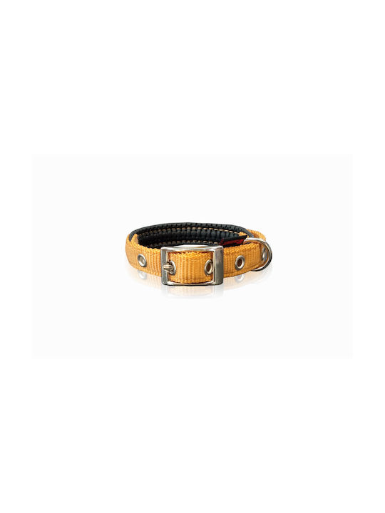 Pet Interest Hundehalsband in Goldfarbe Medium 20mm x 50cm Pet Interest Hundehalsband in Goldfarbe Medium 20mm x 50cm