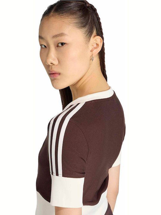 Originals Women's Cardigan Brown